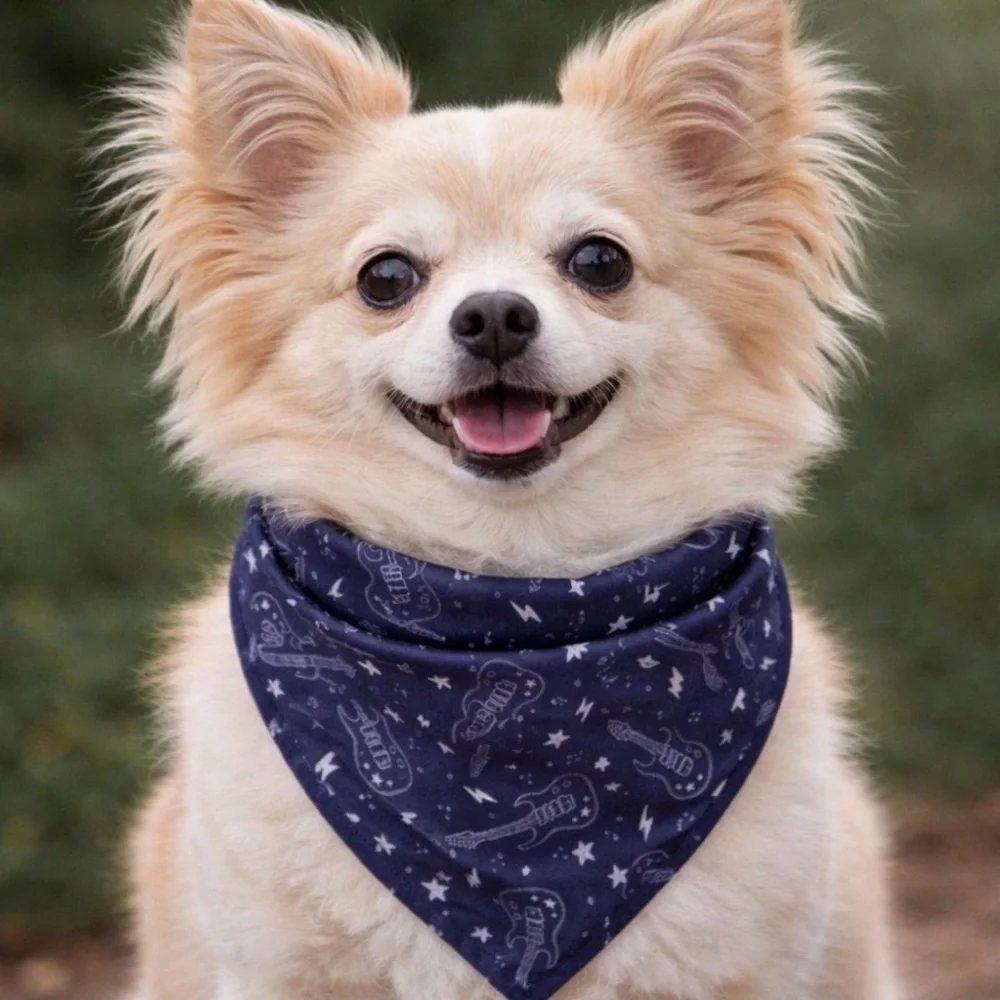 Rock n Roll Dog Bandana